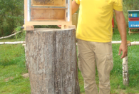 mężczyzna w żółtej koszulce stojący przy plastrze miodu wraz z pszczołami stojącym na pieńku