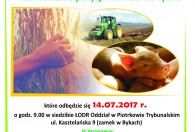 Grupy producentów rolnych - wzmacnianie pozycji rolników na rynku